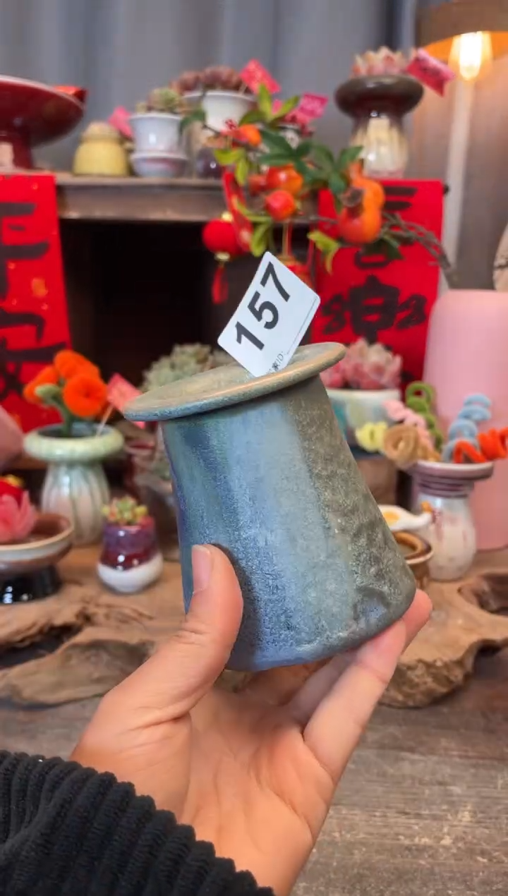 【闪购商品】摆件157知木小芳花盆