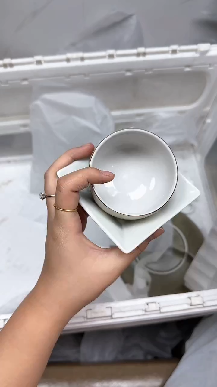 【闪购商品】534回流瓷器默认微瑕，18.8包邮