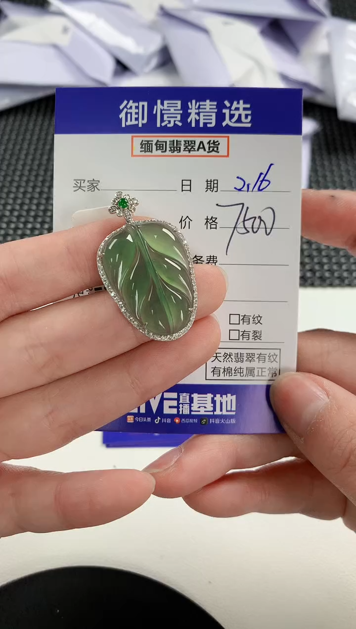 【闪购商品】翡翠颈饰18K金镶嵌99         