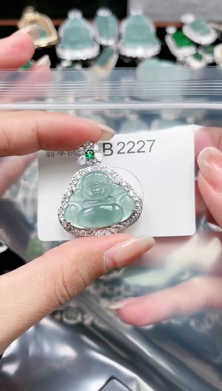 【闪购商品】翡翠颈饰未镶嵌赠皮绳2227