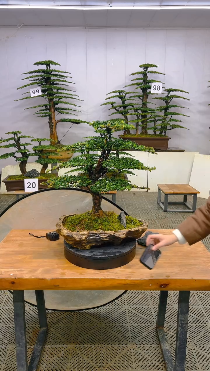 无花朵一物一拍一物一拍