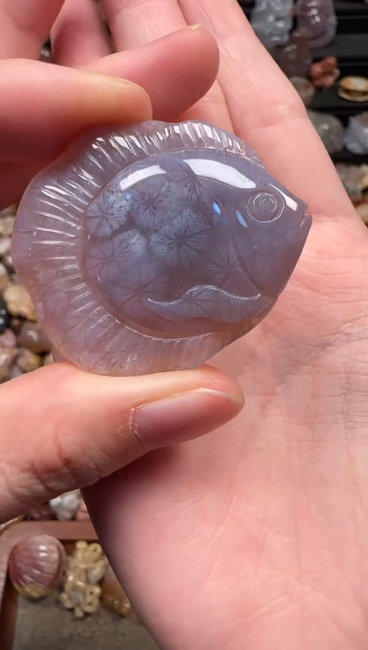 颈饰未镶嵌硅化珊瑚（珊瑚玉）090