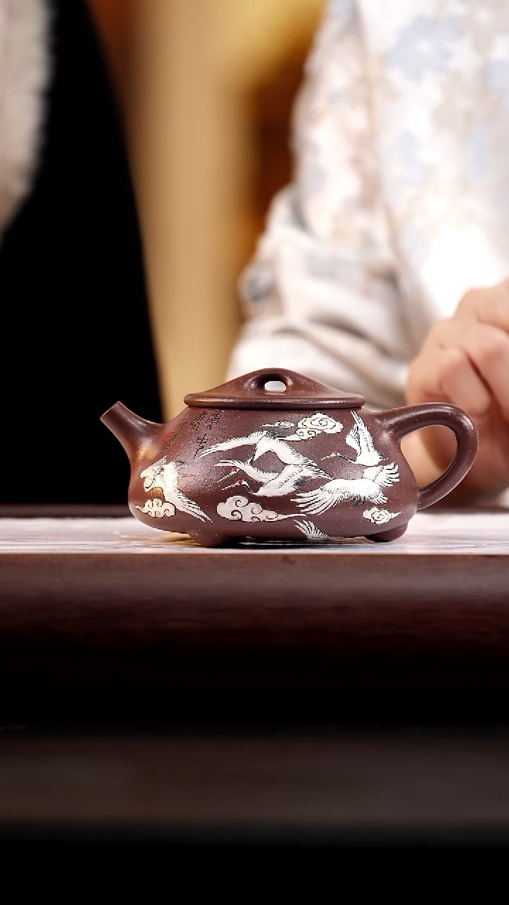 43 汉棠紫罗兰景舟石瓢