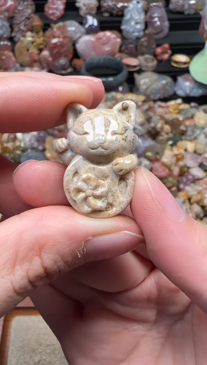 颈饰未镶嵌硅化珊瑚（珊瑚玉）316