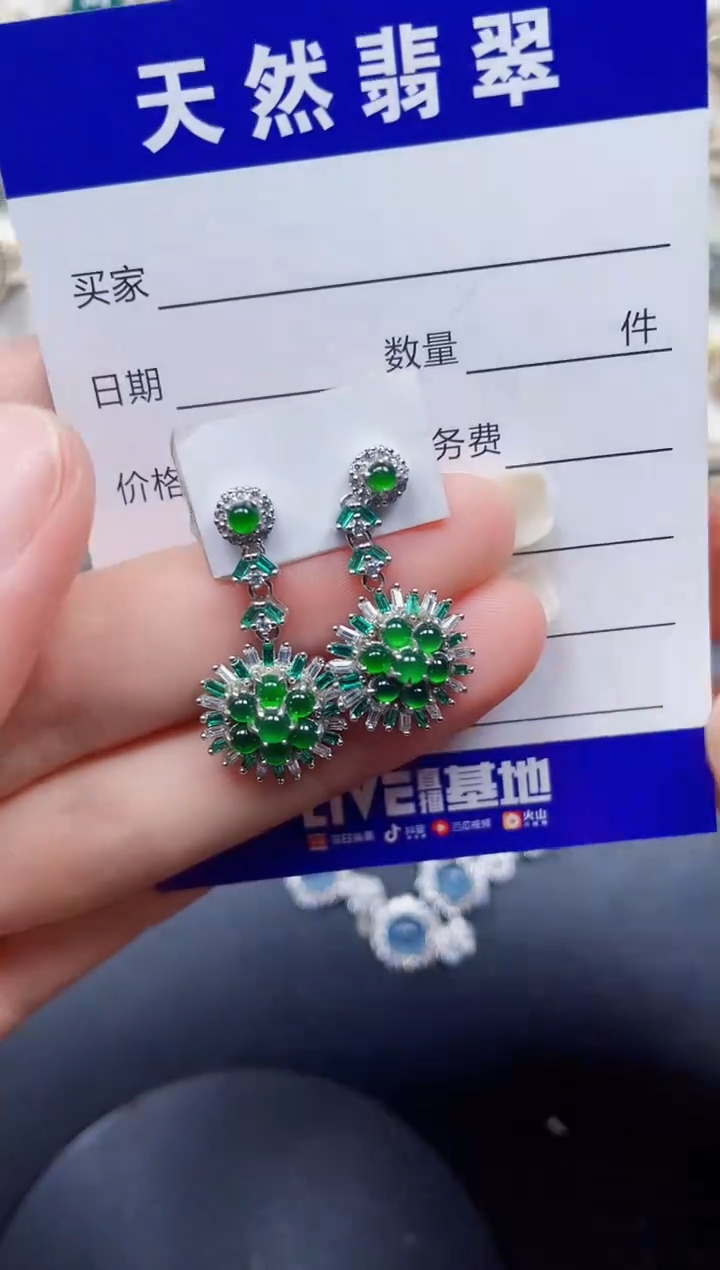 银S925镶嵌翡翠耳饰239