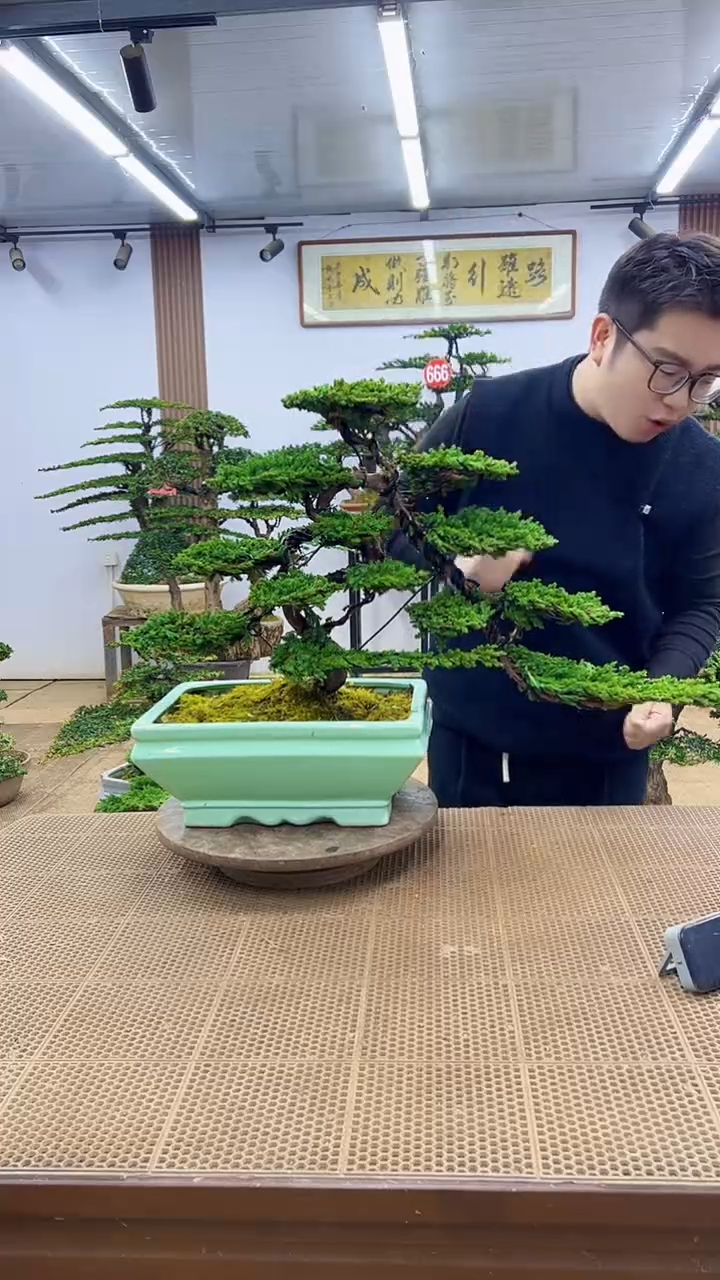 无花朵一物一拍，所见即所得