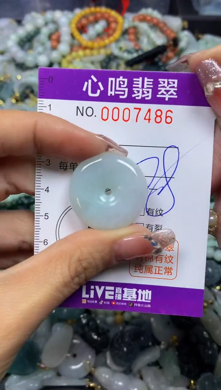 【闪购商品】翡翠颈饰未镶嵌闪购007486