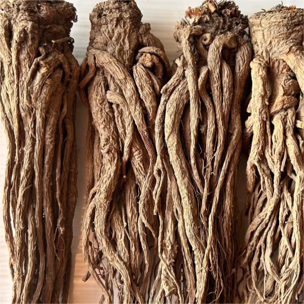 甘肃全当归整根散装无硫