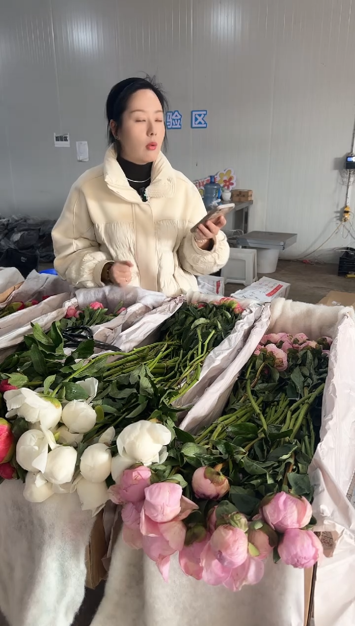 无***住定向 无计留春住