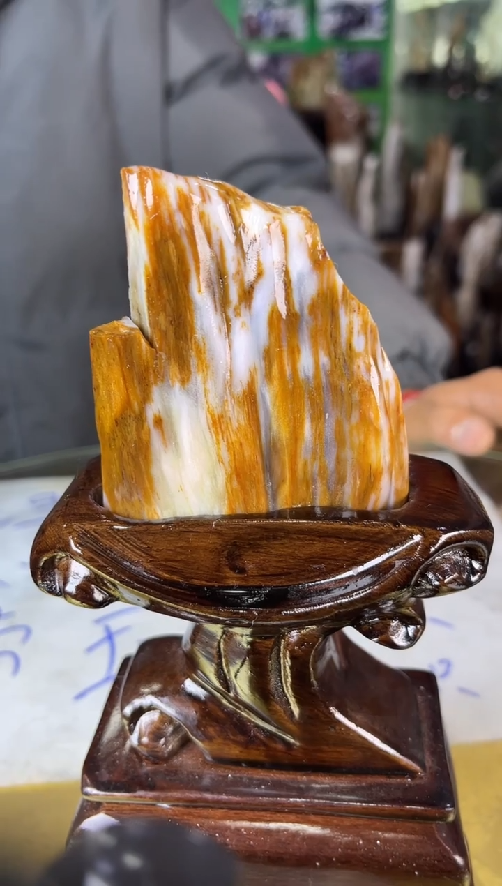 未镶嵌珠宝奇石硅化玉缅甸天然树化玉精品居家摆件