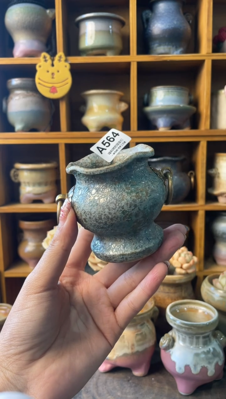 564内口5【多肉花盆多肉盆】