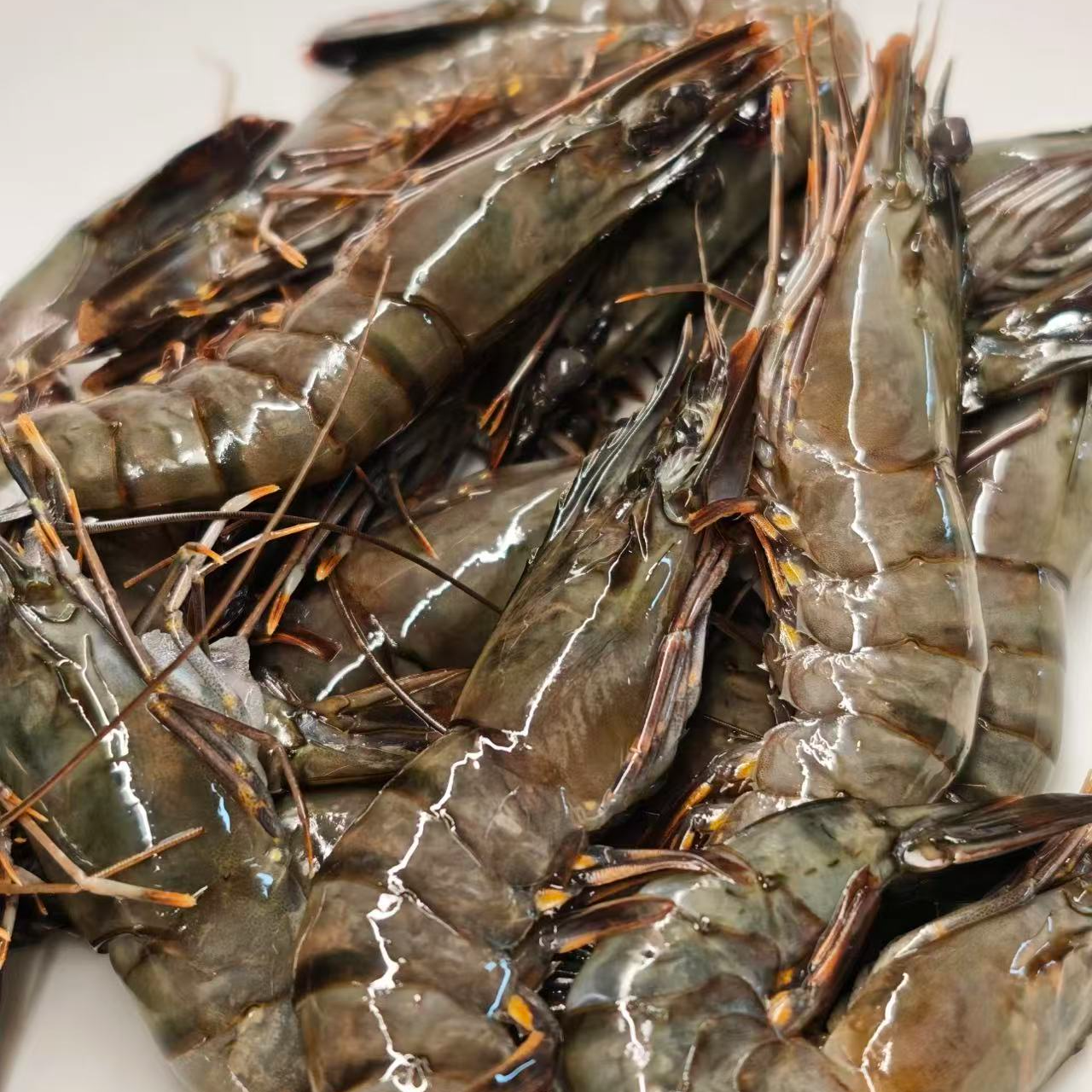 【顺丰包邮】精品黑虎虾中号9-10个/斤黑金刚鲜甜紧实高蛋白海捕虾