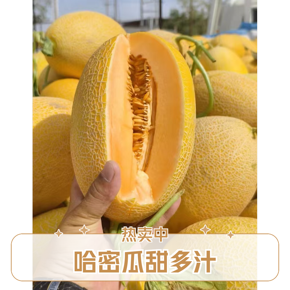 【新疆哈密瓜】金色年华果香浓郁，脆甜多汁，4斤左右包邮上楼新鲜新疆维吾尔自治区
