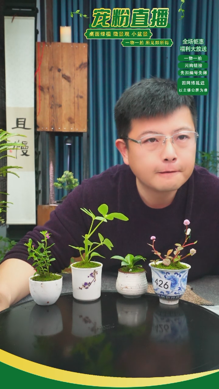 无花朵你****桌苔藓微景观426号