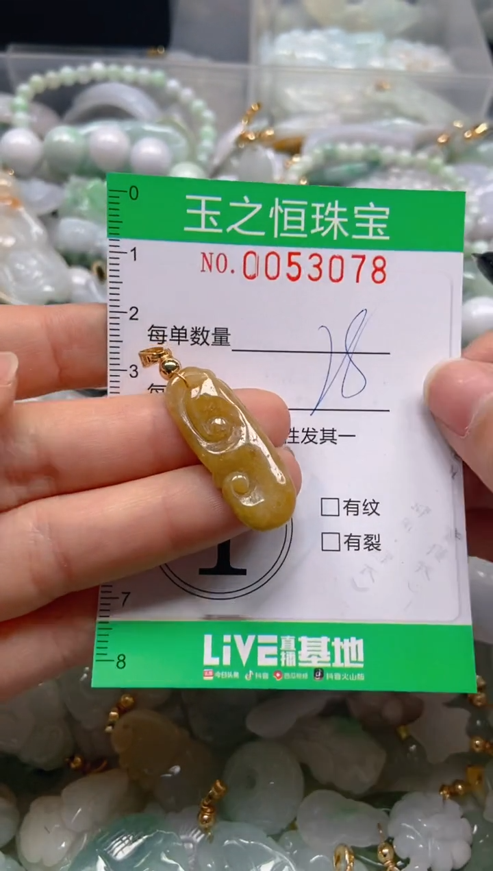 【闪购商品】翡翠颈饰未镶嵌闪购0053078