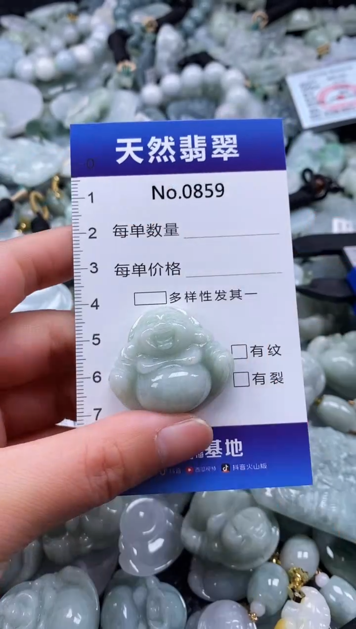 【闪购商品】翡翠颈饰未镶嵌缅甸A货翡翠0859
