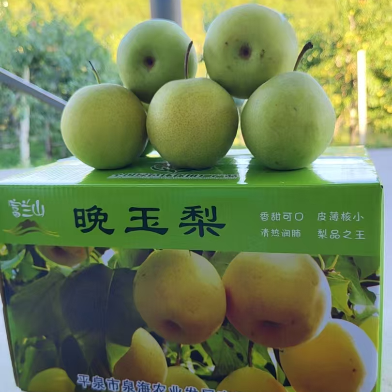 晚玉梨皮薄肉厚细腻无渣现摘现发应季新鲜水果