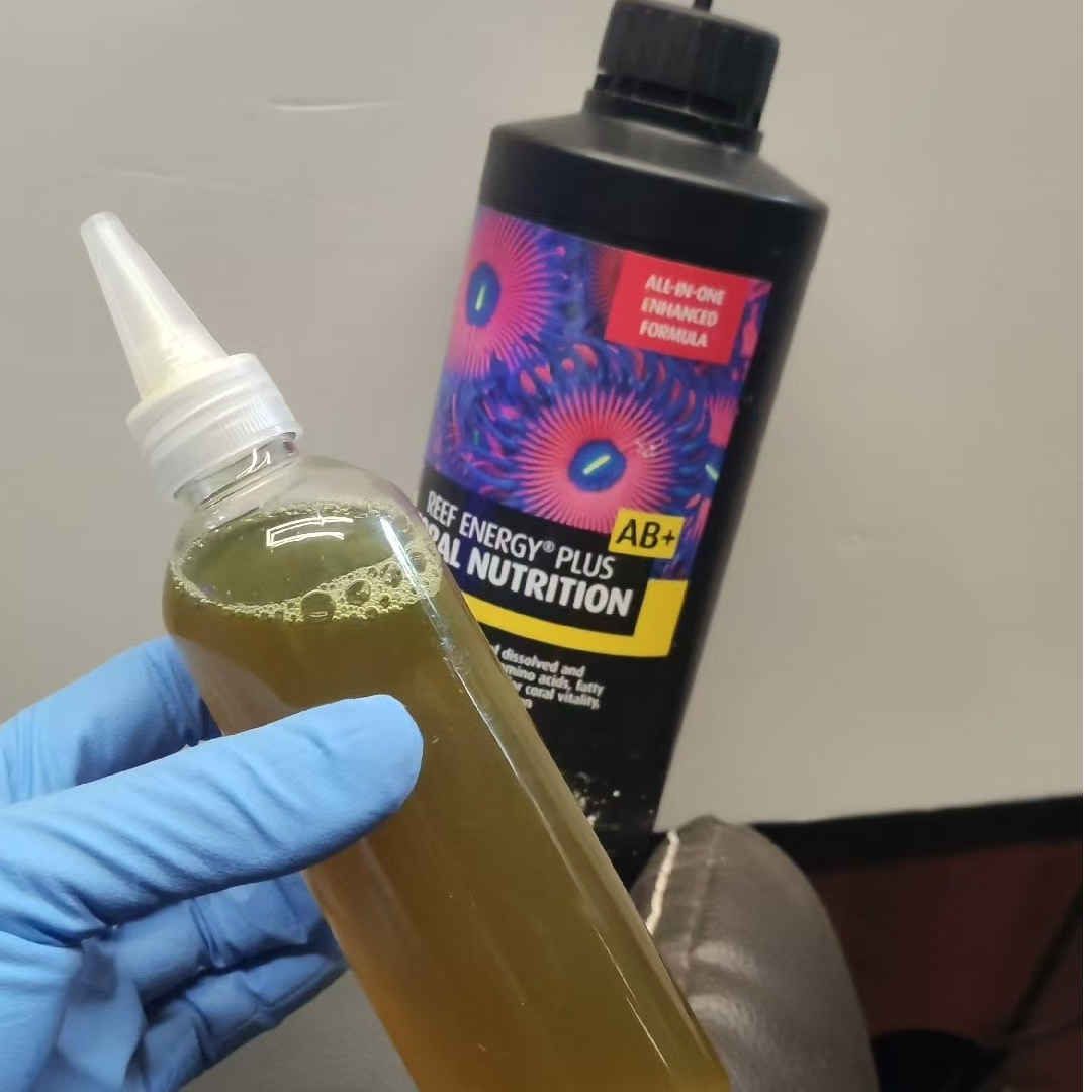 红海AB液体珊瑚粮能量剂LPS软体珊瑚营养液氨基酸100ml分装