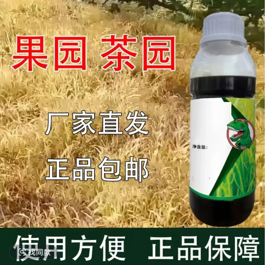 绿色果园茶园荒地有机质