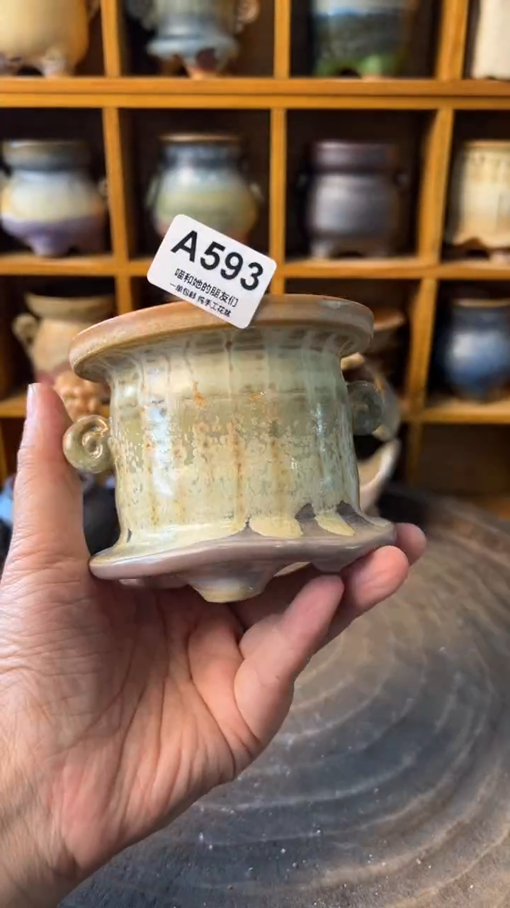 593 内口7【多肉花盆多肉盆】