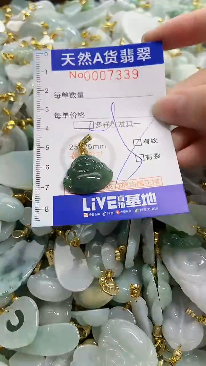 颈饰未镶嵌翡翠天然A货翡翠