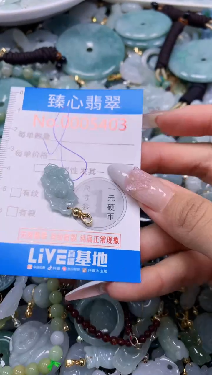 翡翠未镶嵌颈饰5403