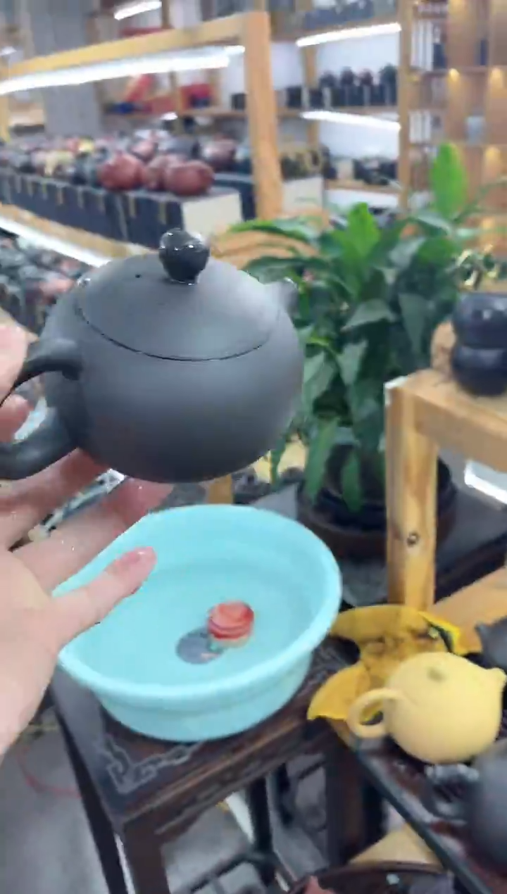 瓷片黑美人西施凤鸣壶