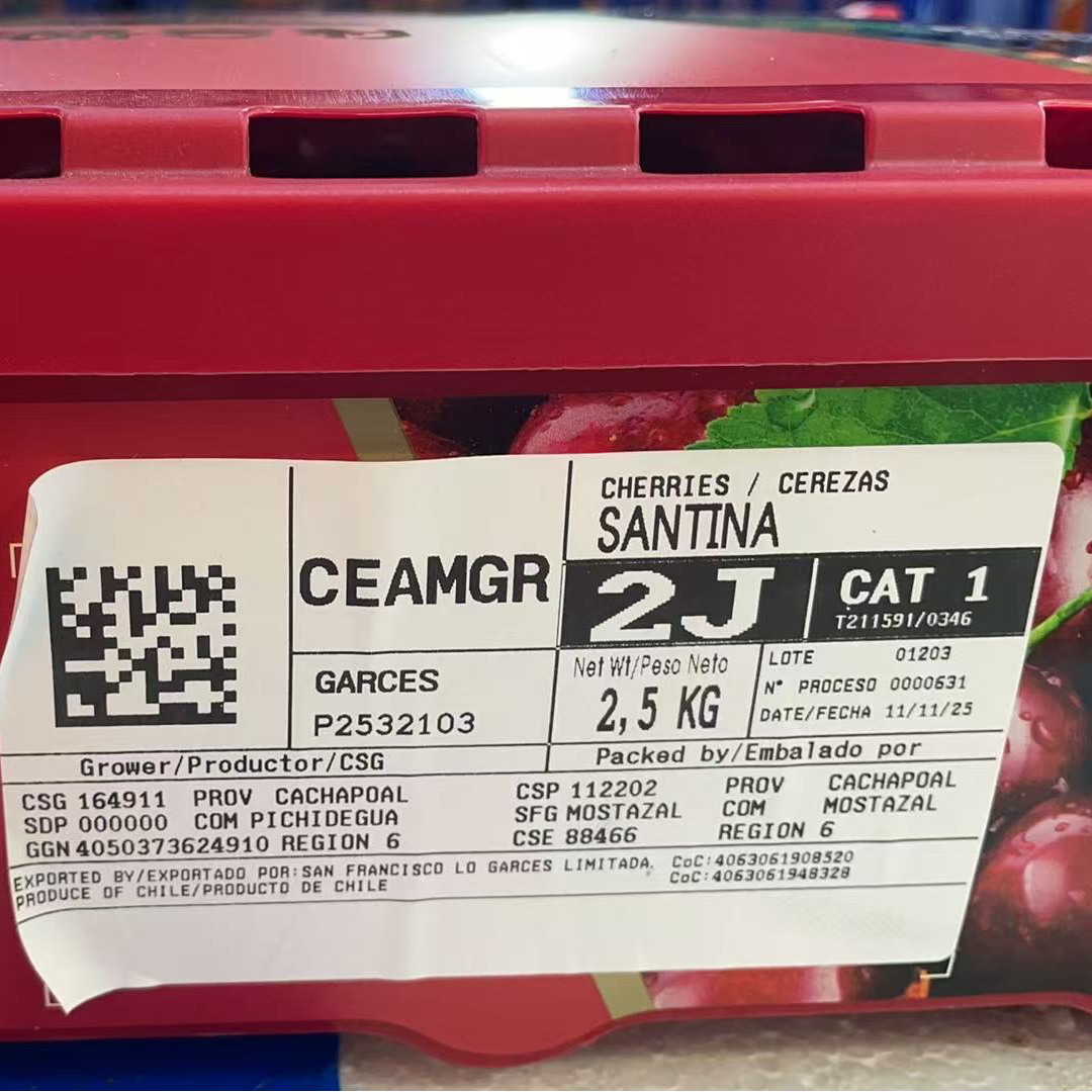 桑提娜车厘子海运2J5斤内附果径卡桑提娜樱桃智利共和国