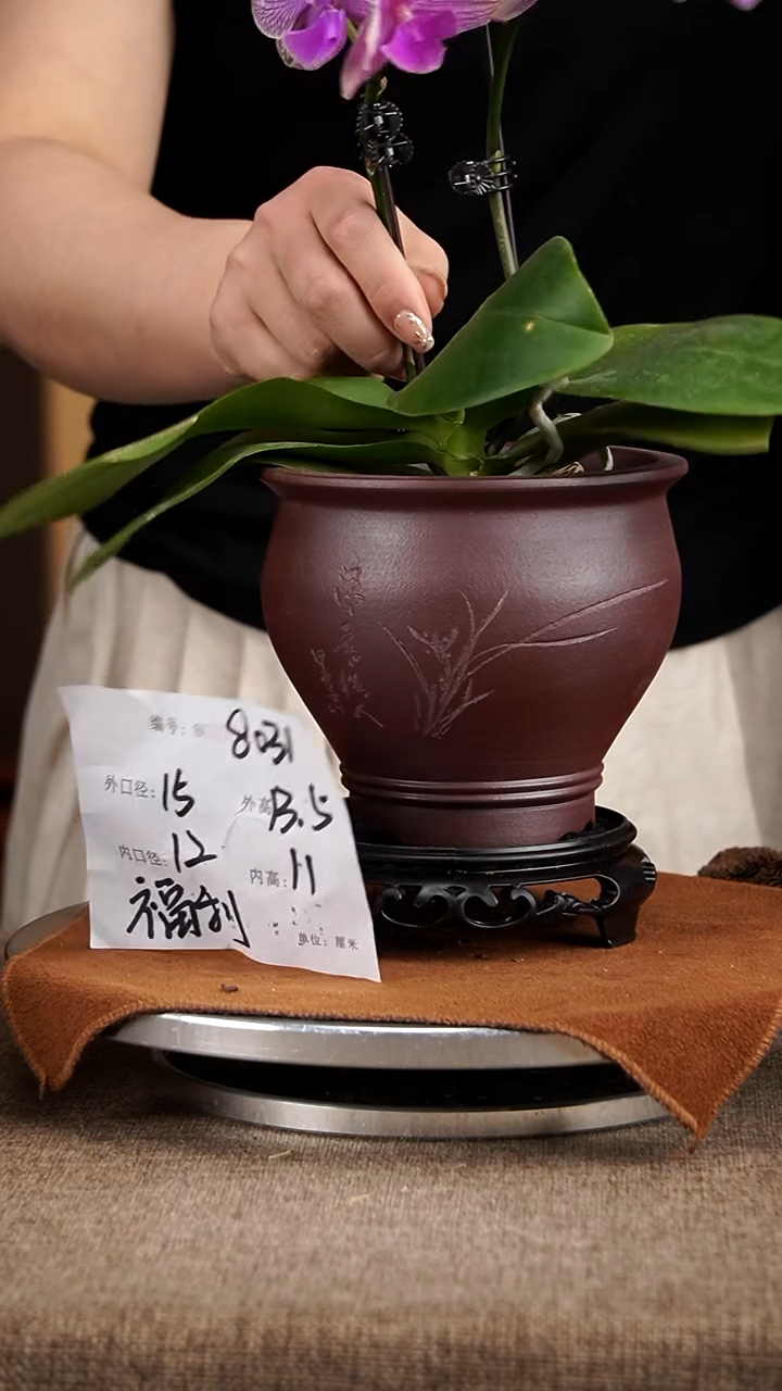 紫砂花盆紫砂花盆8031