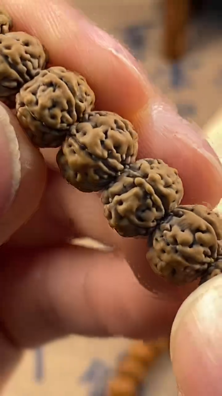 【闪购商品】金刚菩提吊坠真空包定制款灰皮一级老树王9+钢丝刷