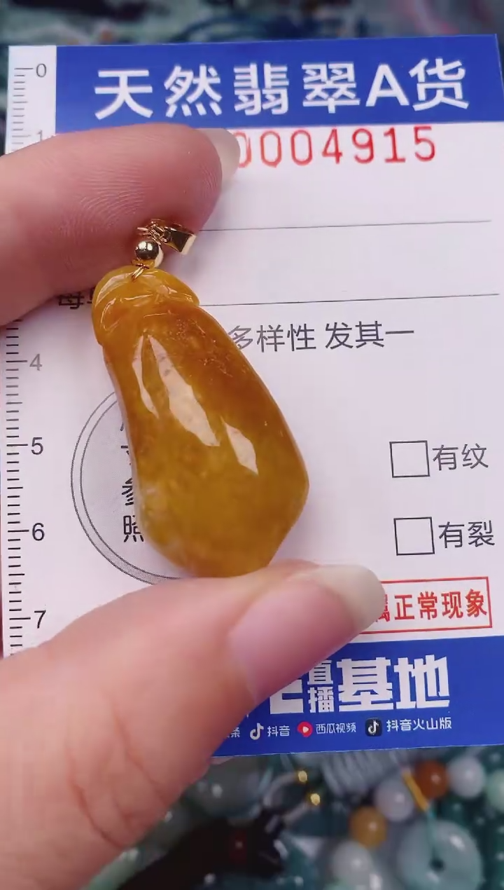 颈饰未镶嵌翡翠00004915