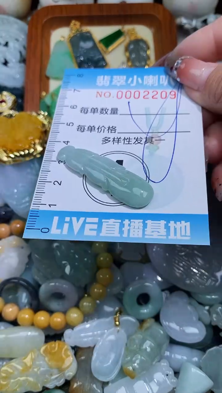 【闪购商品】翡翠颈饰未镶嵌闪购0002209