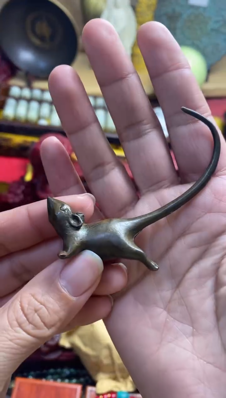 老鼠主播推荐主播推荐