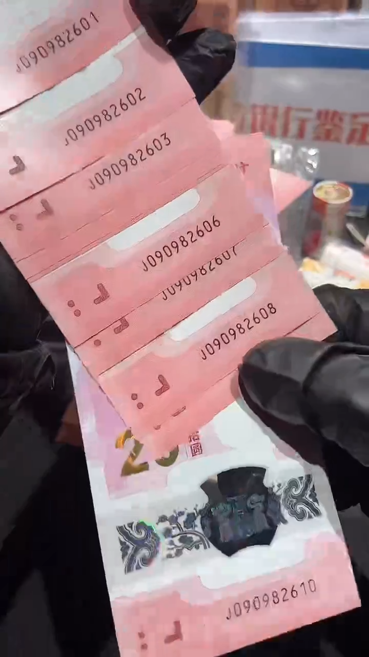 【闪购商品】龙珠号·····标十········