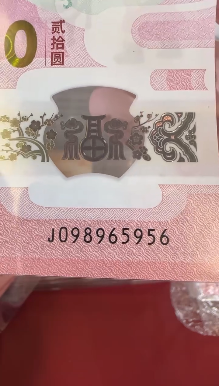 【闪购商品】塑料2025蛇钞 啊啊啊啊啊啊啊啊单张裸