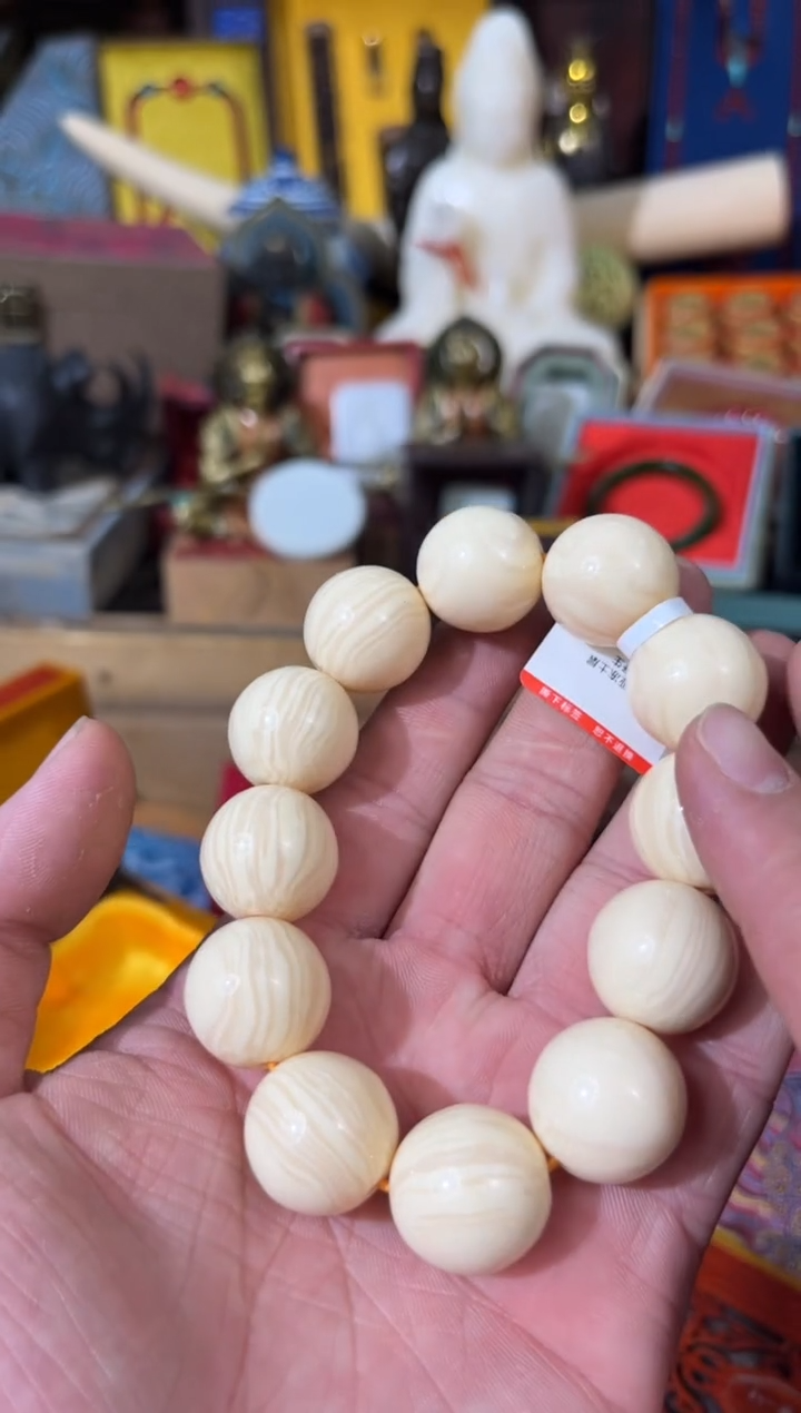 【闪购商品】 龙龙龙龙龙龙龙龙