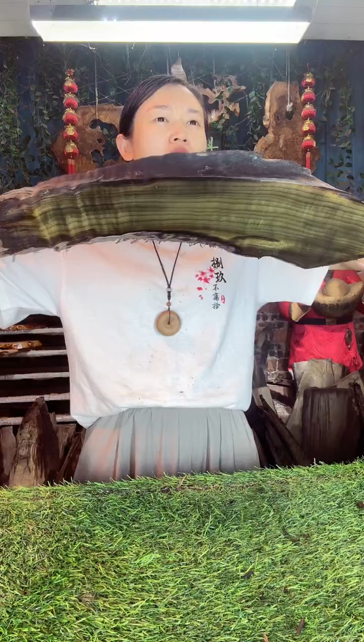 金丝楠小叶祯楠25
