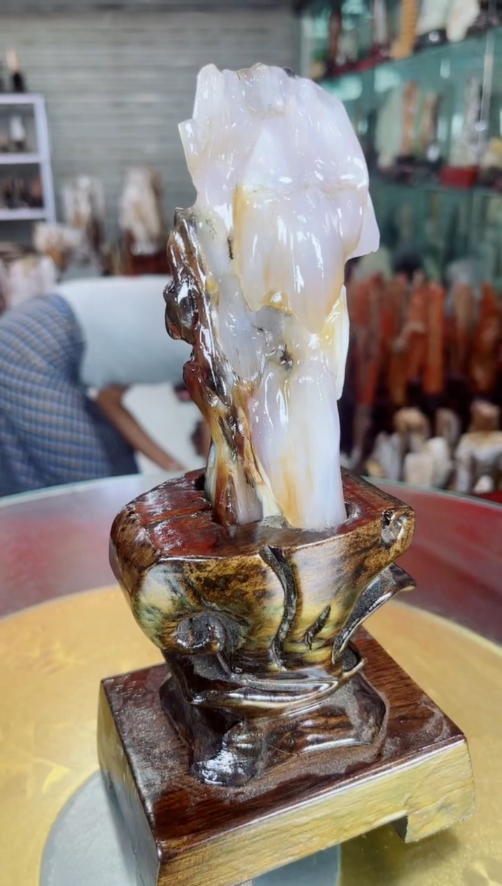 硅化玉珠宝奇石未镶嵌缅甸天然树化玉