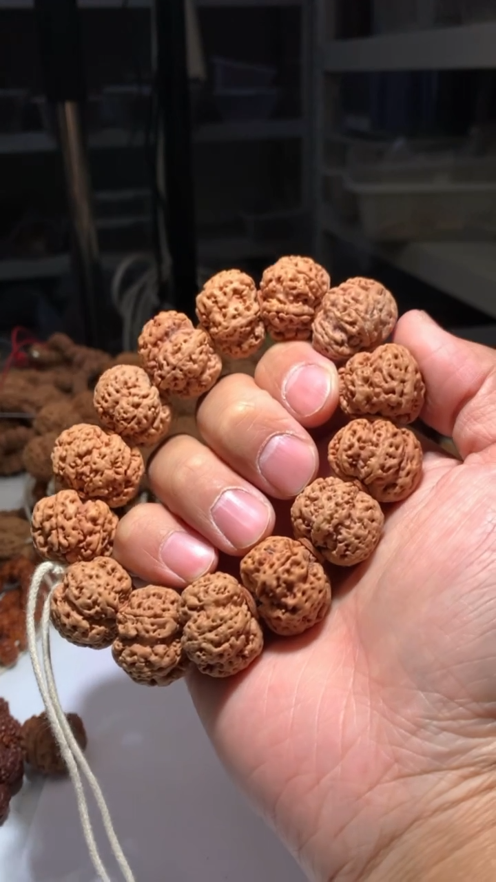 金刚菩提手串4000000000