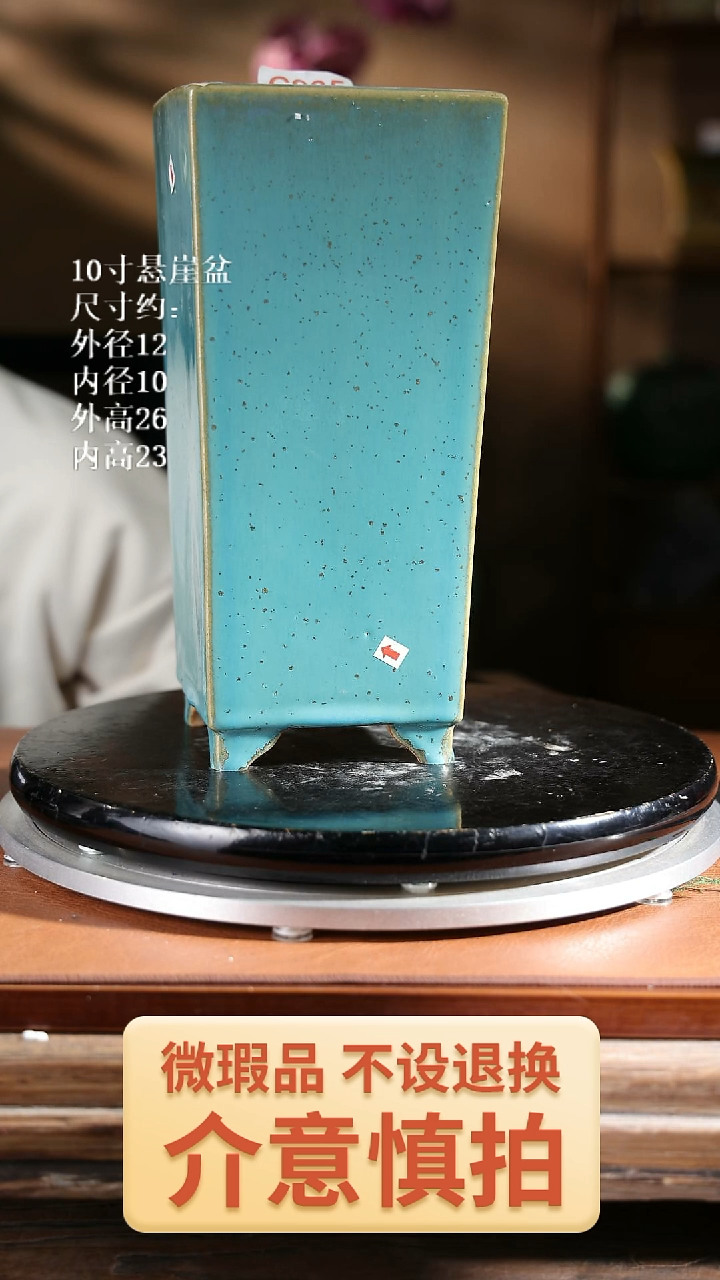 10寸悬崖盆       935