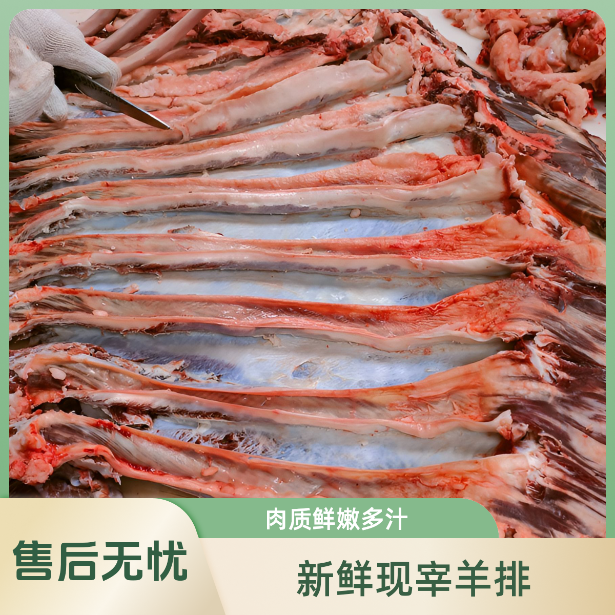 红秦川牛肋条(排腩)