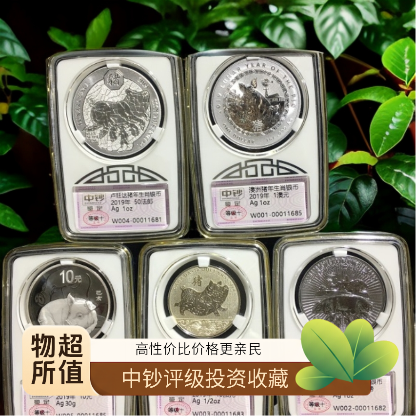 猪年生肖银币  纯银币5国家5枚 中钞评级银行鉴定收藏投资精品