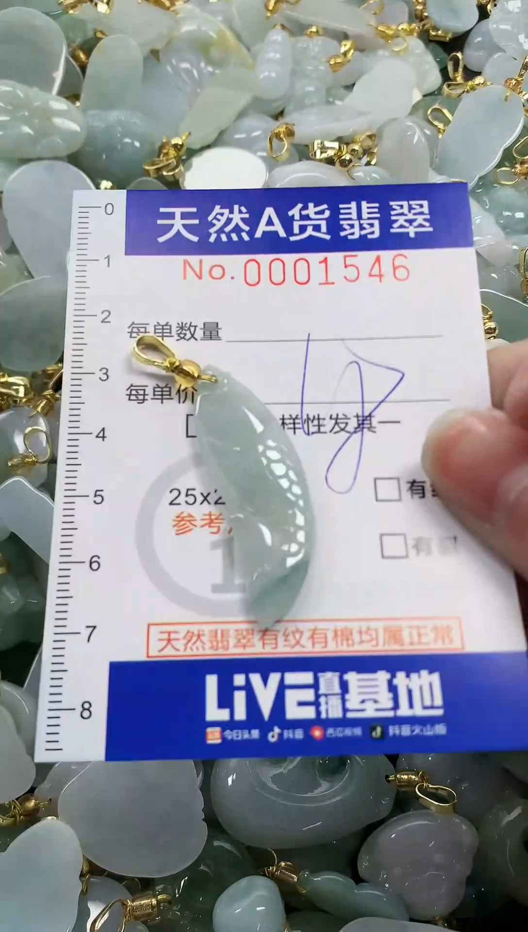颈饰未镶嵌翡翠纯天然a货翡翠