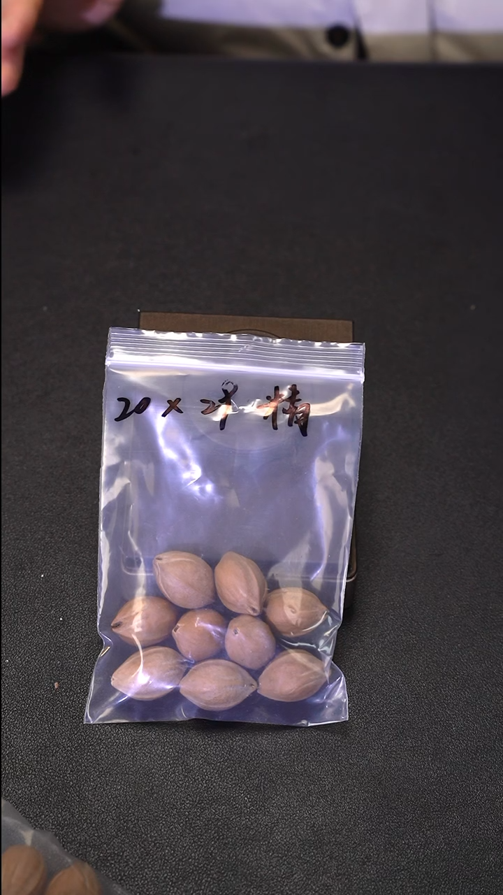手串/手链橄榄核......2029梅林铁核