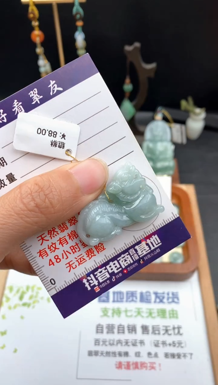 翡翠未镶嵌颈饰貔貅