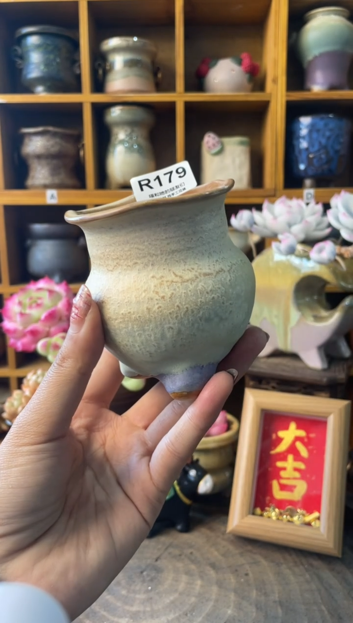 179内口7【多肉花盆多肉盆】