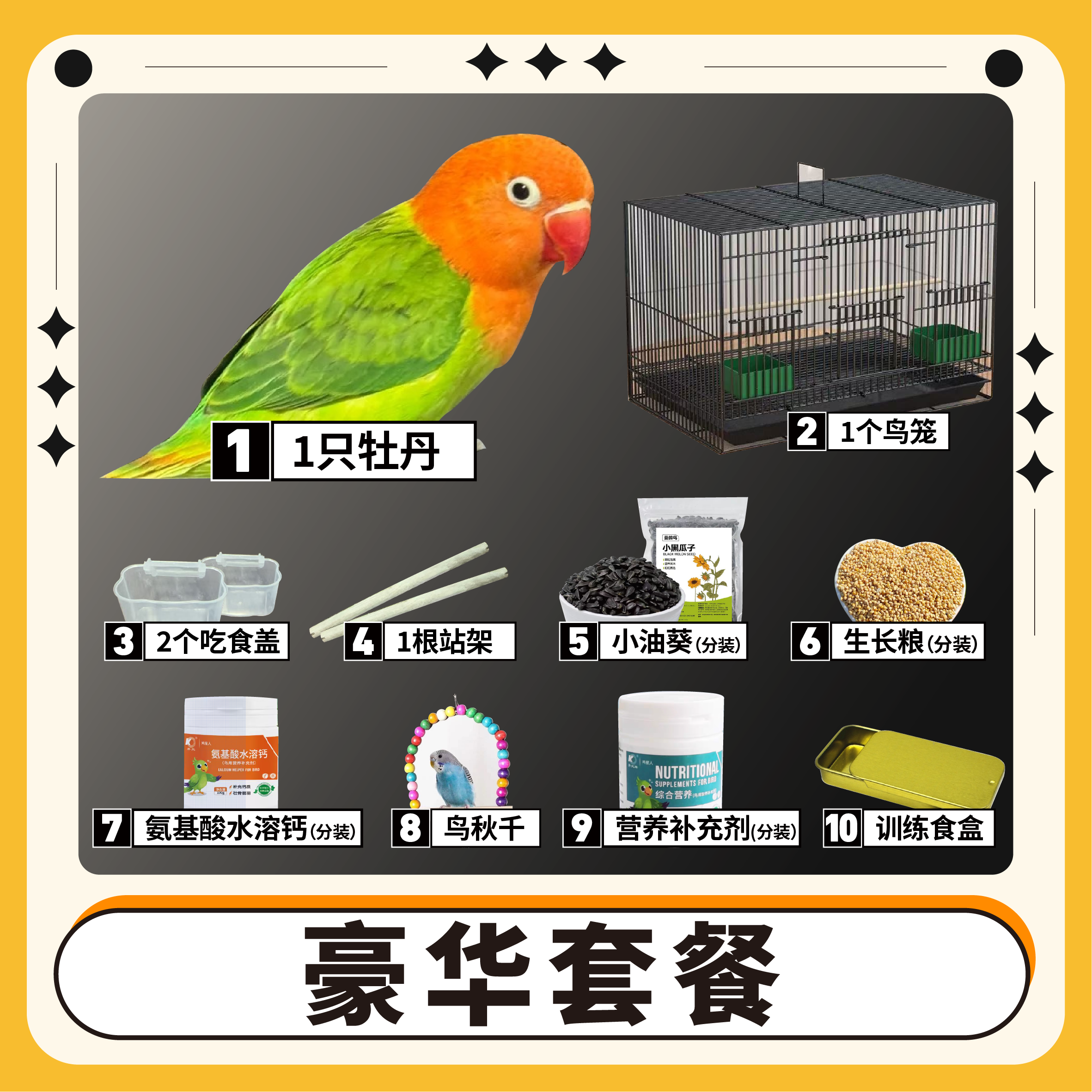 【豪华套餐】1只牡丹鹦鹉