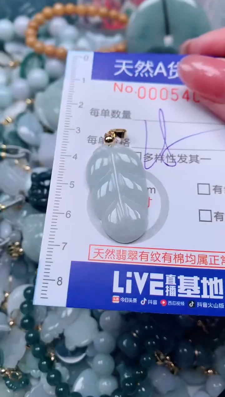 【闪购商品】翡翠颈饰未镶嵌00005402