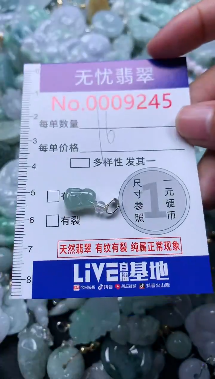 颈饰未镶嵌翡翠9245