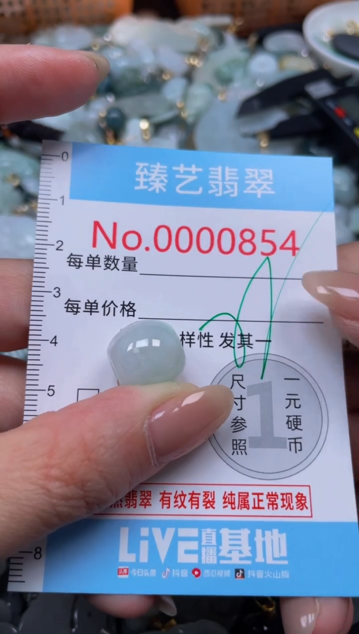 颈饰未镶嵌翡翠854